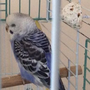 Meet your Posher, Gary